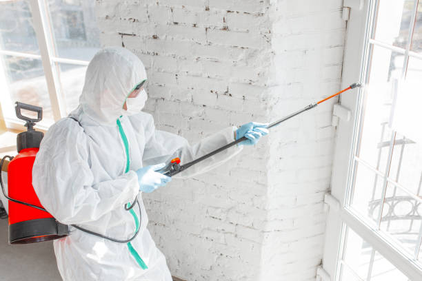 Best Mold Remediation for Healthcare Facilities in Chattahoochee Hills, GA